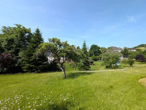 Foto - Grundstück zu verkaufen in Windeck Gierzhagen 71.000,00 € 1790 m²