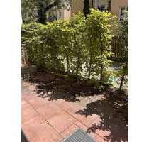 WG-Zimmer in München 720,00 € 18 m²