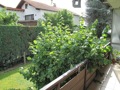 Foto - Wohnung zum Mieten in Mörfelden Walldorf 440,00 € 27 m²