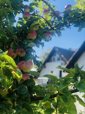 Foto - Wohnung zum Kaufen in Lobbe 59.000,00 € 29 m²