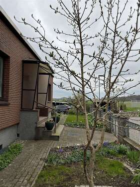 Foto - Haus zum Kaufen in Baumgarten b Bützow 280.000,00 € 266 m²