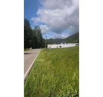 Grundstück in Alpirsbach 250.000,00 € 10858 m²