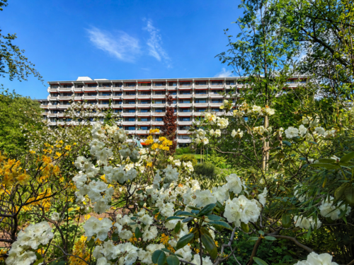 Foto - Wohnung zum Kaufen in Ainring 179.000,00 € 54.07 m²