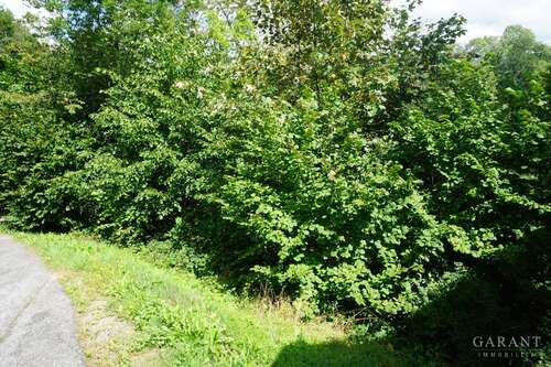 Foto - Grundstück zu verkaufen in Alpirsbach 45.000,00 € 1885 m²