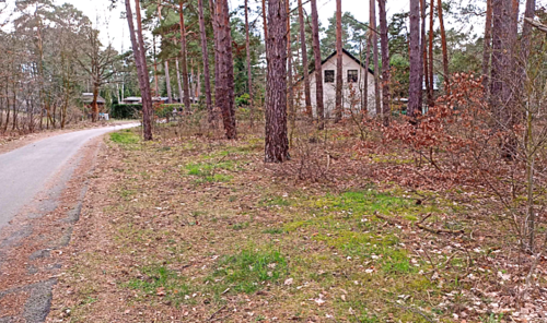Foto - Grundstück zu verkaufen in Wendisch Rietz 195.000,00 € 1365 m²