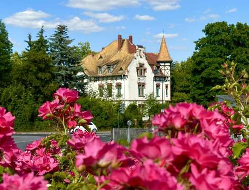 Foto - Haus zum Kaufen in Grimma 630.000,00 € 513 m²