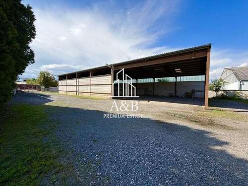 Foto - Haus zum Kaufen in Speyer 989.000,00 € 186 m²