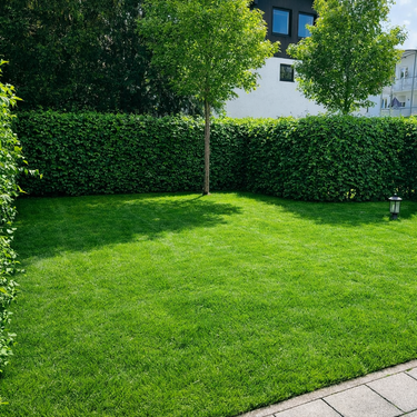 Foto - Wohnung zum Mieten in Planegg 2.050,00 € 90 m²
