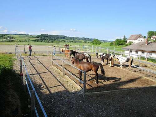 Foto - Spezialgewerbe in Messkirch 1.380.000,00 €