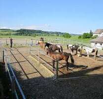 Spezialgewerbe in Messkirch 1.380.000,00 €