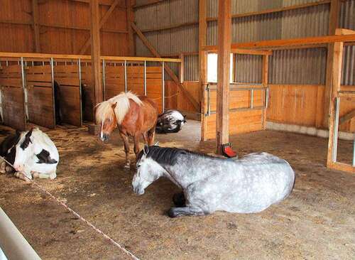 Foto - Spezialgewerbe in Messkirch 1.380.000,00 €