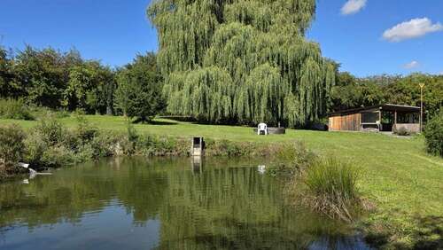 Foto - Grundstück zu verkaufen in Altdorf Eugenbach 269.000,00 € 6214 m²