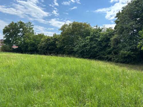 Foto - Grundstück zu verkaufen in Biburg 627.500,00 € 2510 m²