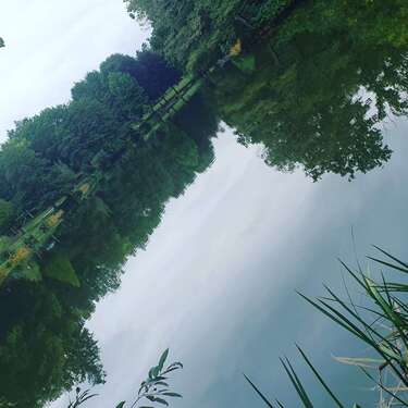 Foto - Wohnung zum Mieten in Neunkirchen 650,00 € 75 m²