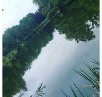 Wohnung zum Mieten in Neunkirchen 650,00 € 75 m²