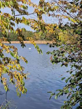 Foto - Grundstück zu verkaufen in Falkensee 295.500,00 € 750 m²