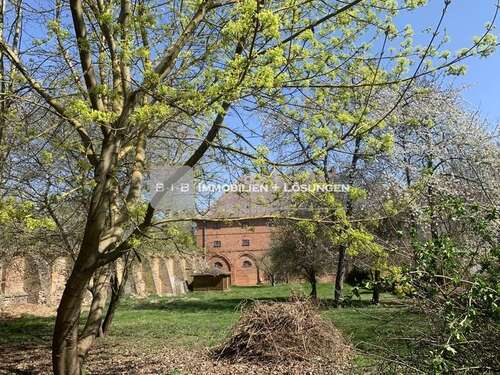 Foto - Haus zum Kaufen in Prenzlau 595.000,00 € 3580.56 m²