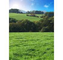 Haus zum Kaufen in Buchholz 697.000,00 € 180 m²