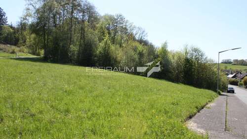 Foto - Grundstück zu verkaufen in Netphen Hainchen 225.000,00 € 2912 m²