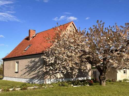 Foto - Haus zum Kaufen in Bredenfelde 98.700,00 € 117 m²