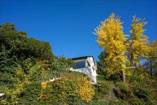 Foto - Haus zum Kaufen in Wiesloch 850.000,00 € 263.5 m²