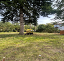 Halle in Kelsterbach 1.500,00 € 233 m²