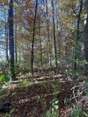 Foto - Grundstück in Scheyern 37.800,00 € 4200 m²