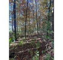 Grundstück in Scheyern 37.800,00 € 4200 m²