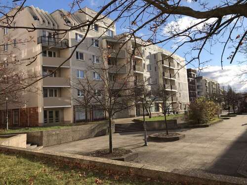 Foto - Wohnung zum Mieten in Halle (Saale) 294,70 € 50.81 m²