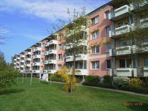 Foto - Wohnung zum Mieten in Greifswald 520,00 € 48 m²