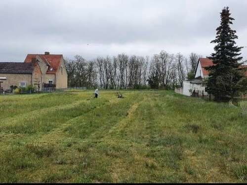 Foto - Grundstück zu verkaufen in Tangerhütte OT sandfurth 25.000,00 € 2850 m²