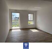 Wohnung zum Mieten in Arnsdorf 730,00 € 72.86 m²