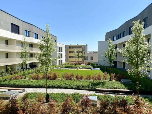 Foto - Wohnung zum Mieten in Dresden 1.700,00 € 100.6 m²