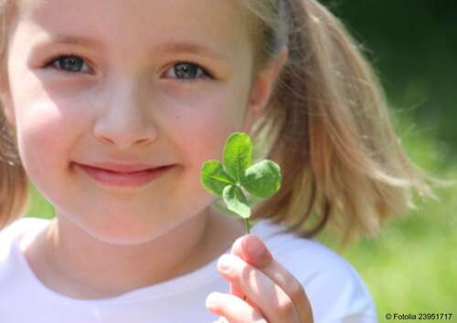 Foto - Haus zum Kaufen in Bickenbach 369.000,00 € 121 m²