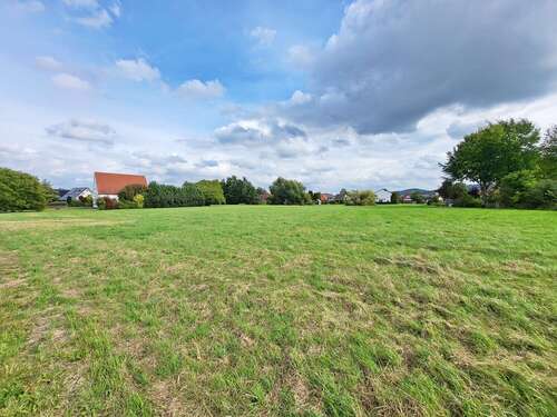 Foto - Grundstück zu verkaufen in Hille 499.000,00 € 11669 m²