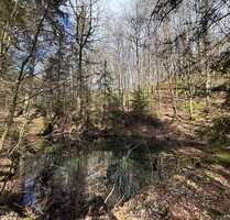 Grundstück zu verkaufen in Bad Münstereifel 135.000,00 € 14700 m²