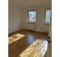 Wohnung zum Mieten in Salzgitter 330,00 € 50 m²
