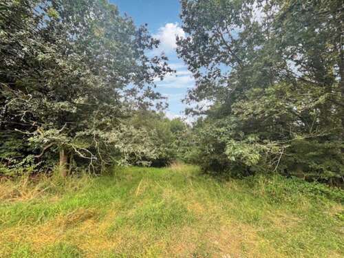 Foto - Grundstück zu verkaufen in Kusel 499.000,00 € 6822 m²