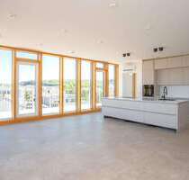 Wohnung zum Mieten in Kaiserslautern 2.950,00 € 239.71 m²