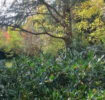 Wohnung zum Kaufen in Krailling 529.000,00 € 78 m²