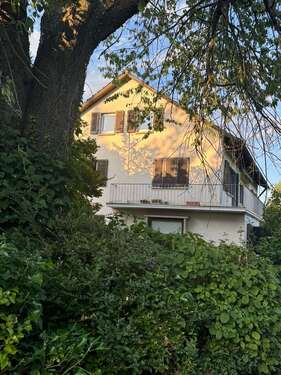 Foto - Wohnung zum Kaufen in Freiburg 275.000,00 € 75.18 m²