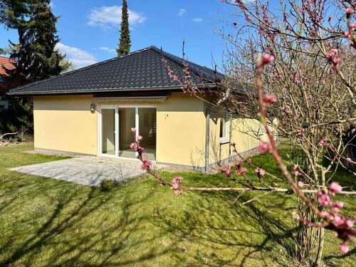 Foto - Haus zum Kaufen in Potsdam 569.000,00 € 100 m²