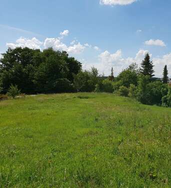 Foto - Grundstück zu verkaufen in Rohrbach 199.000,00 € 204 m²