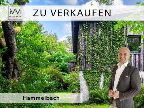 Foto - Haus zum Kaufen in Grasellenbach Hammelbach 280.000,00 € 162 m²