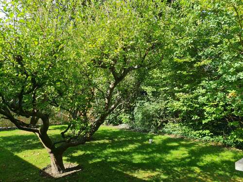 Foto - Grundstück zu verkaufen in Schulzendorf 245.000,00 € 849 m²