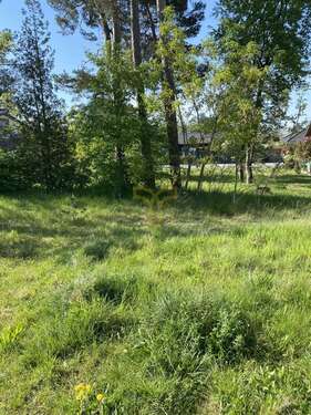 Foto - Grundstück zu verkaufen in StüdeSassenburg 41.000,00 € 410 m²