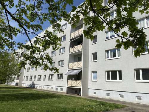 Foto - Wohnung zum Mieten in Bad Düben 290,00 € 58 m²