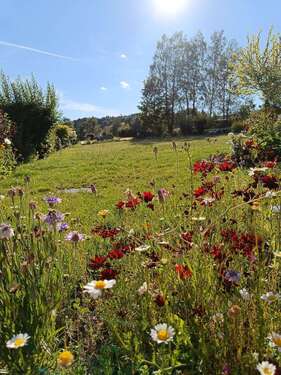 Foto - Grundstück zu verkaufen in Bad Steben 70.000,00 € 808 m²