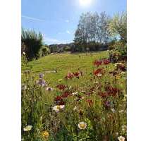 Grundstück zu verkaufen in Bad Steben 70.000,00 € 808 m²