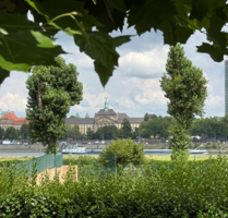 Haus zum Kaufen in Düsseldorf 5.300.000,00 € 565 m²